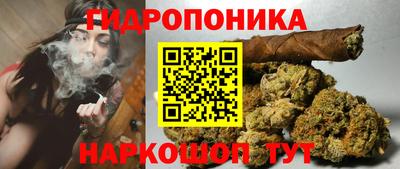 индика Малоярославец